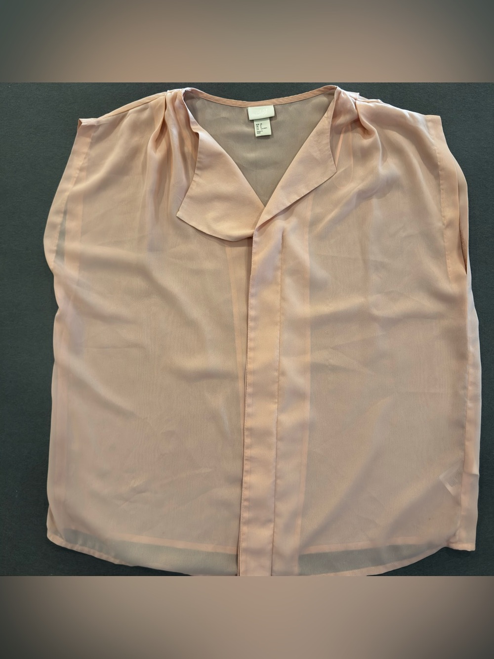 H&M Blush Sheer Short Sleeve Blouse